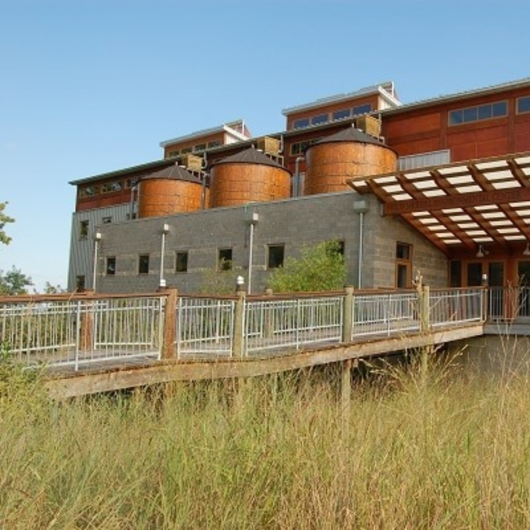 Chesapeake Bay Foundation